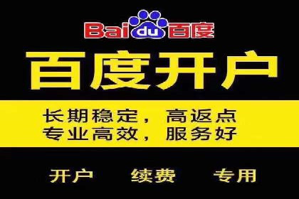 百度竞价推广案例：品牌崛起之路